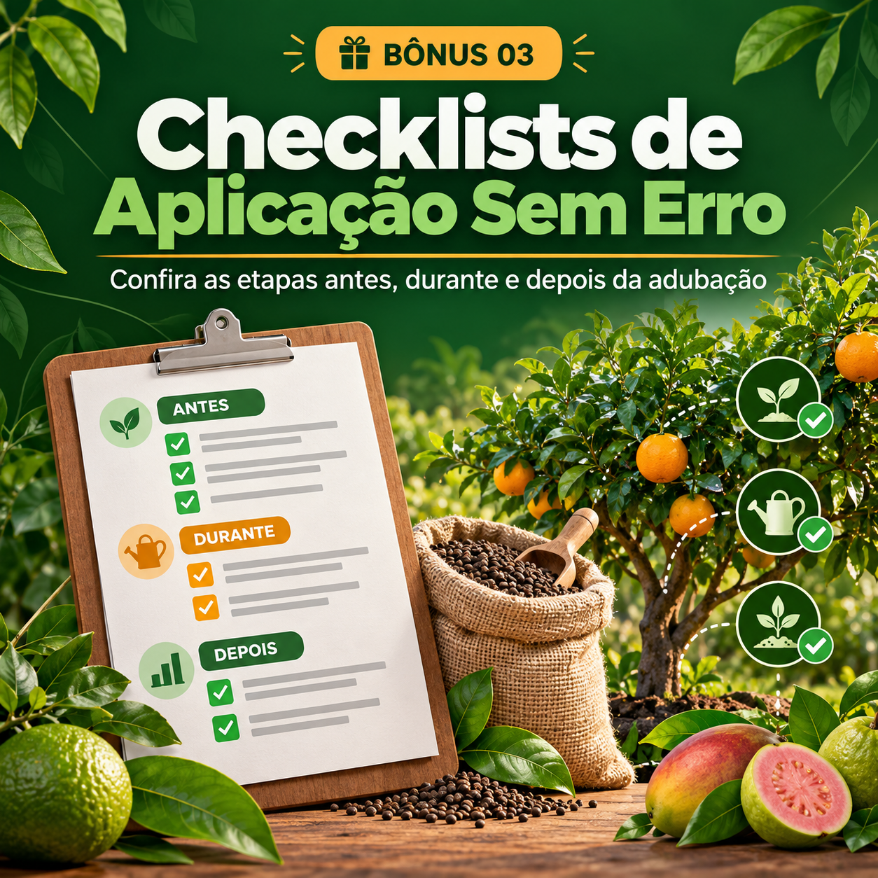 Checklists de Aplicação Sem Erro