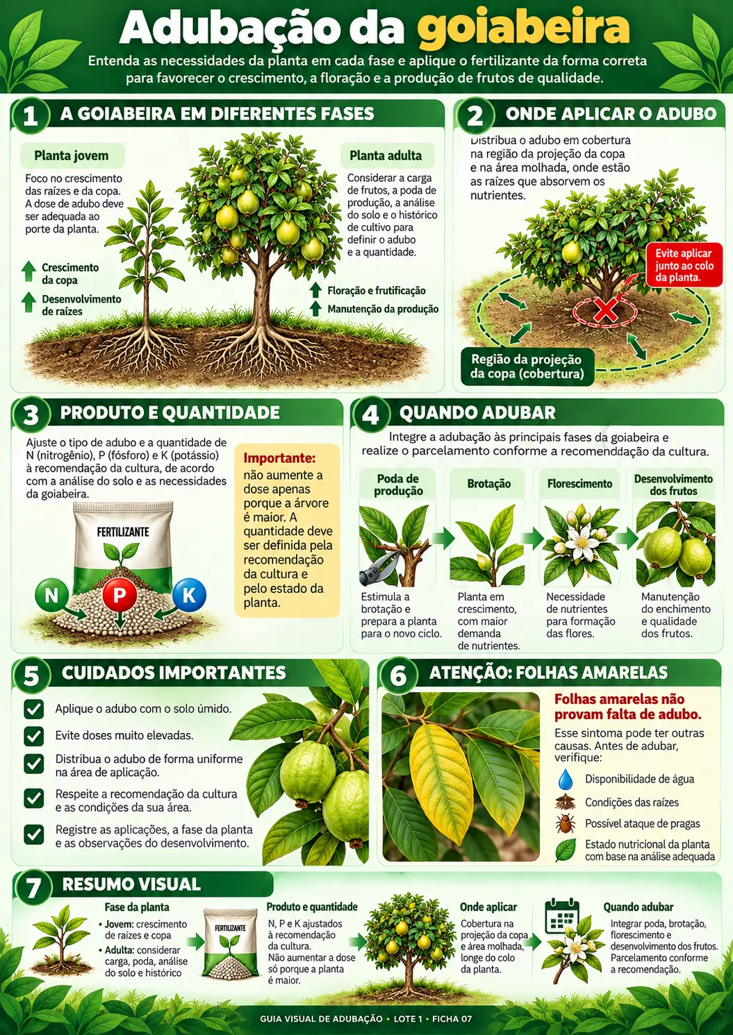 Mapa de adubação 04