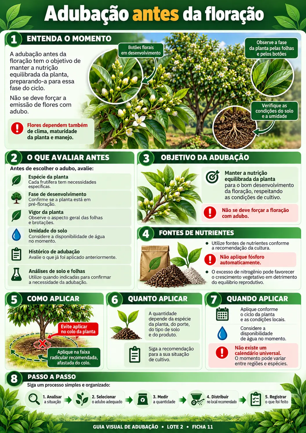 Mapa de adubação 01