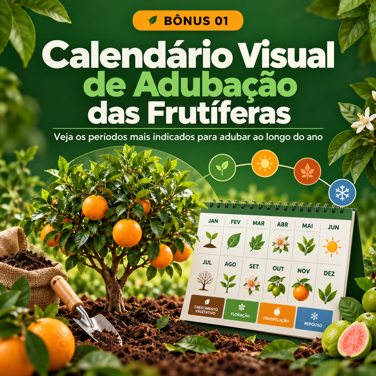 Calendário Visual de Adubação das Frutíferas